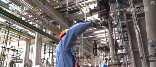 煉化工廠成鳥兒新家 綠色工業設計服務，盡顯工業之美